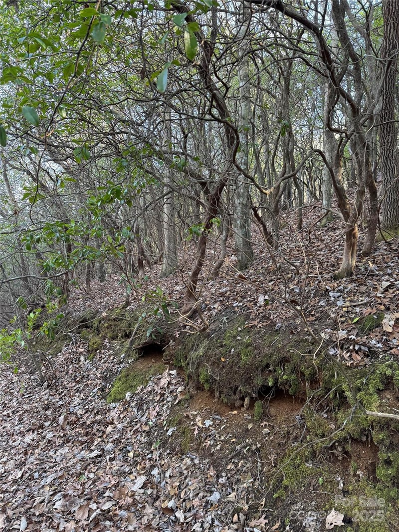 Country Club Dr #41, Cullowhee, NC 28723