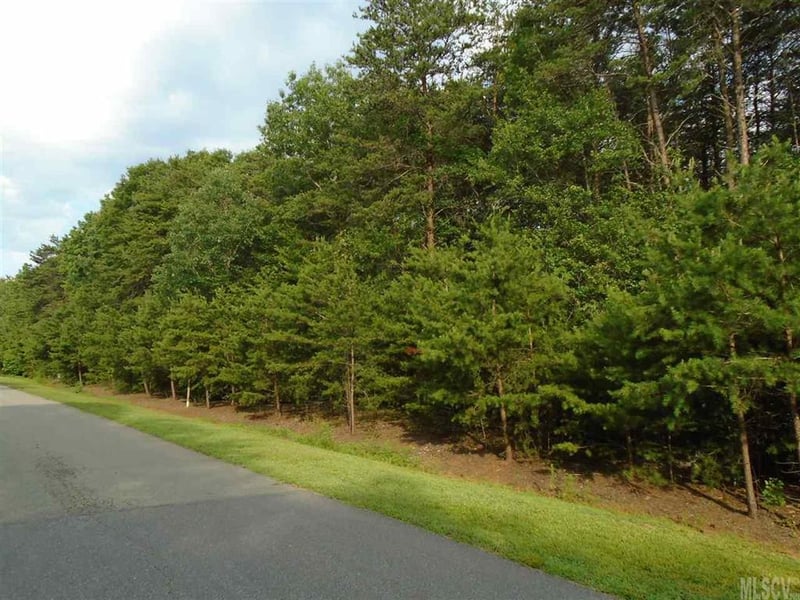 1684 Parkside Dr, Catawba, NC 28609
