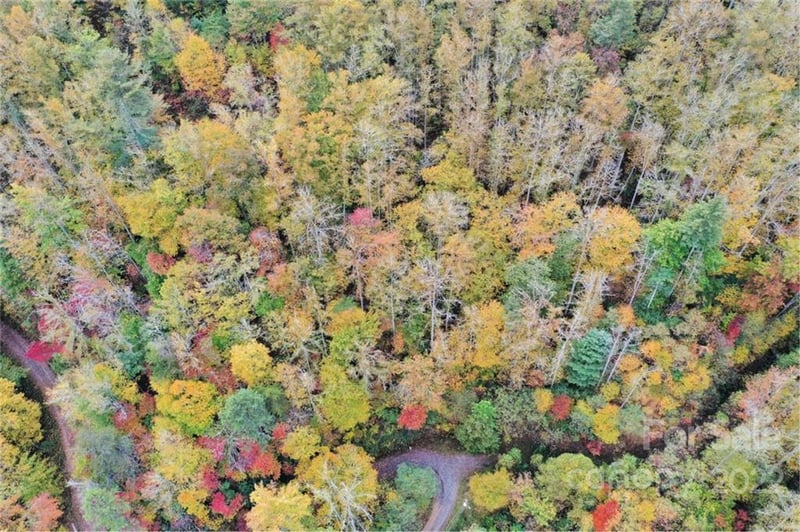 VL74 Mountain Forest Estates None, Sylva, NC 28779