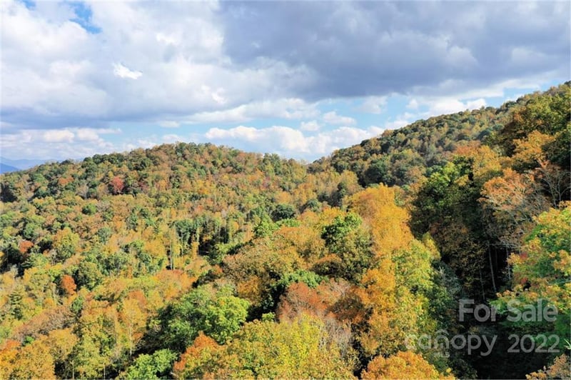 VL74 Mountain Forest Estates None, Sylva, NC 28779