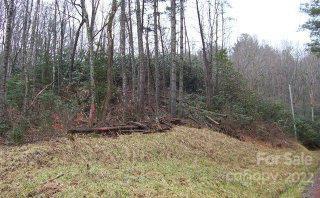 VL302 Mountain Forest Estates None, Sylva, NC 28779