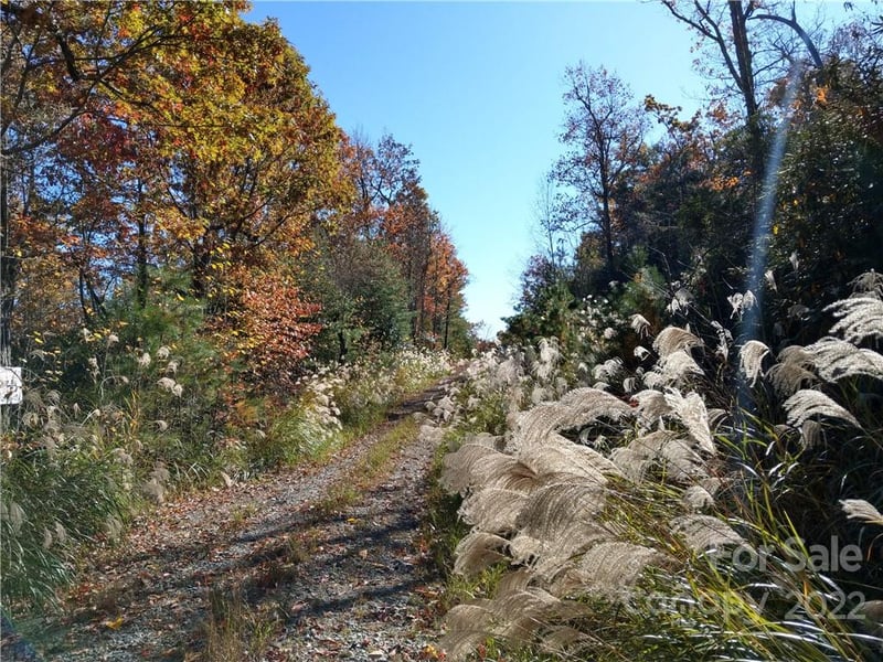 000 Dogwood Ln #E1, Penrose, NC 28766