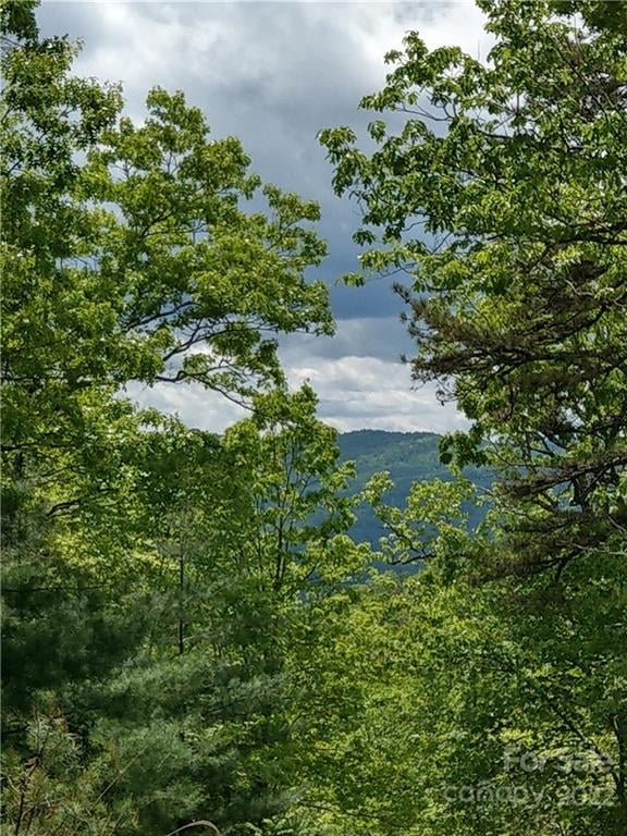 000 Dogwood Ln #E1, Penrose, NC 28766