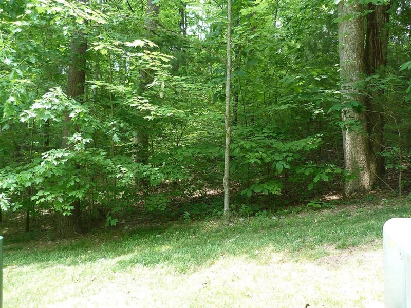 201 Bent Pine Tc #180, Hendersonville, NC 28739