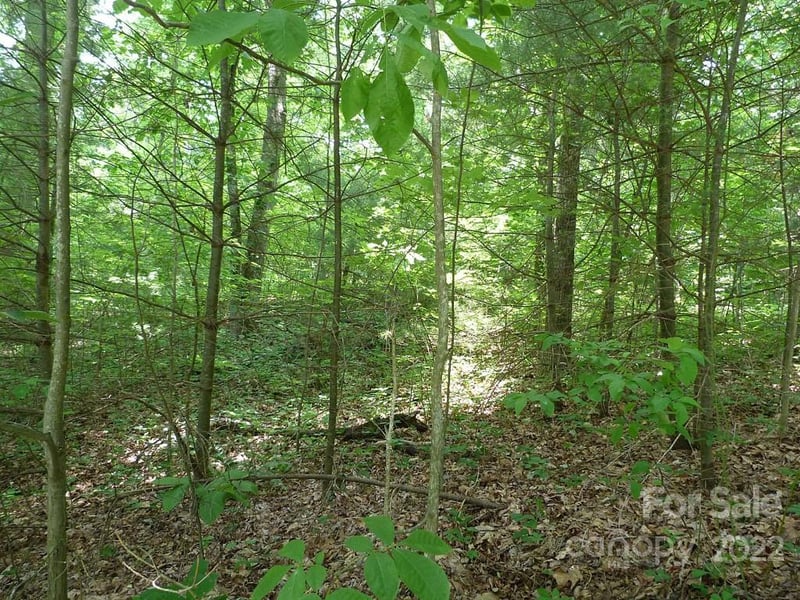 201 Bent Pine Tc #180, Hendersonville, NC 28739