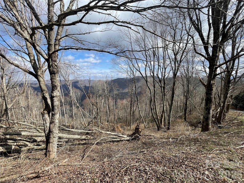 0 Ridge Top Cir, Clyde, NC 28721