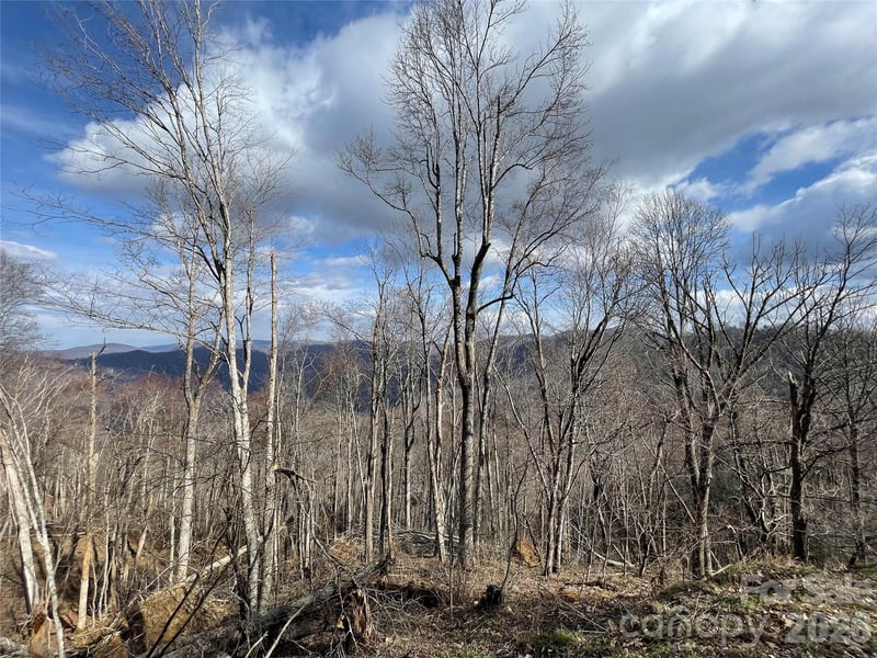 0 Ridge Top Cir, Clyde, NC 28721