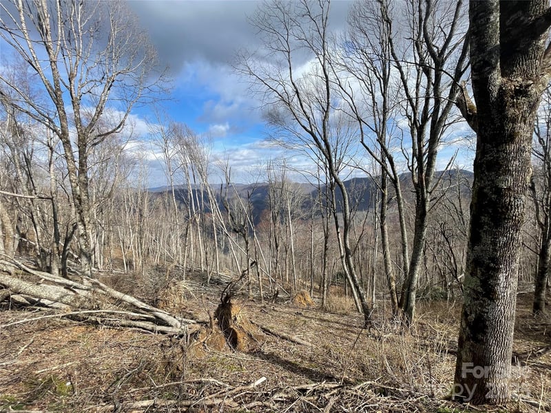 Ridge Top Cir, Clyde, NC 28721