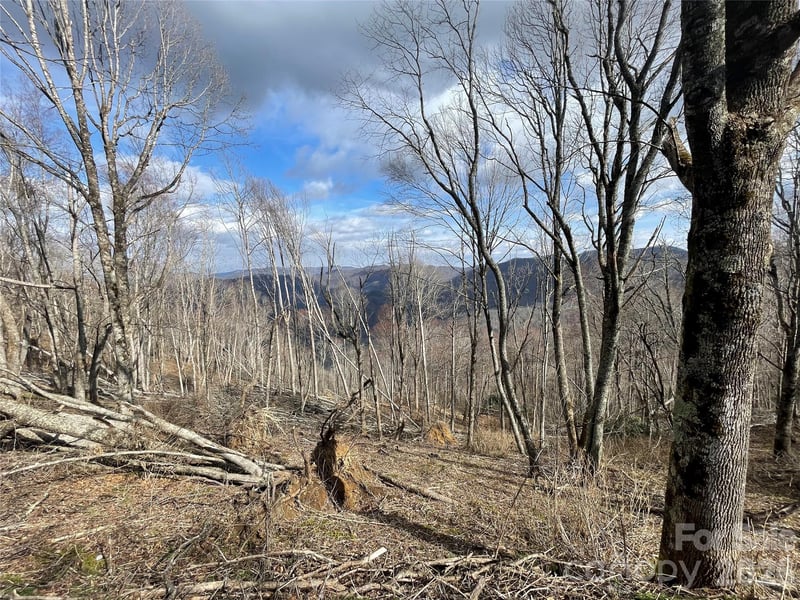 0 Ridge Top Cir, Clyde, NC 28721