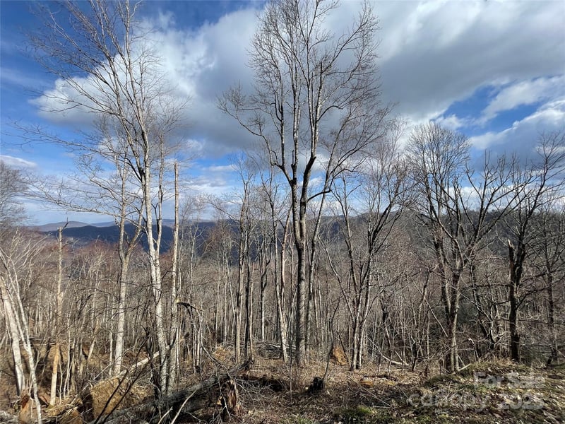 Ridge Top Cir, Clyde, NC 28721