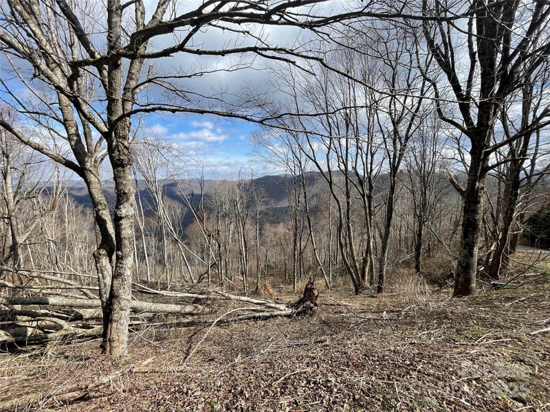Ridge Top Cir, Clyde, NC 28721