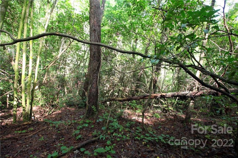 Lot 19 Gastons Bee Gum Rd #19, Brevard, NC 28712