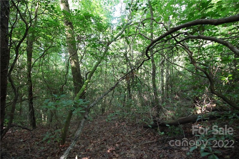 Lot 19 Gastons Bee Gum Rd #19, Brevard, NC 28712