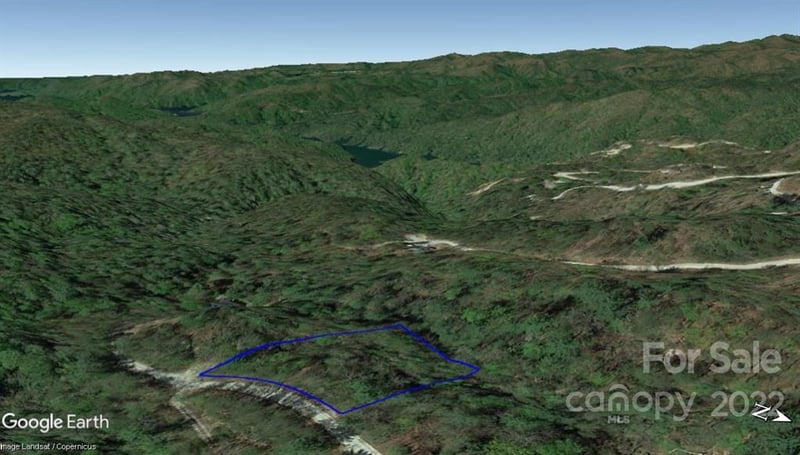 Lot 19 Gastons Bee Gum Rd #19, Brevard, NC 28712