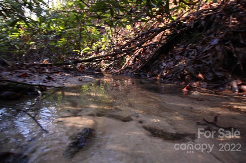 Lot 19 Gastons Bee Gum Rd #19, Brevard, NC 28712