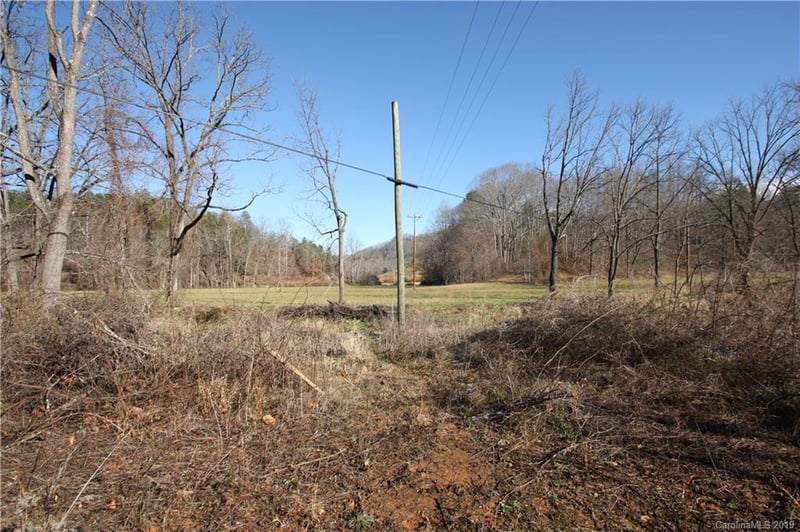 199 Sandy Mush Creek Rd, Leicester, NC 28748