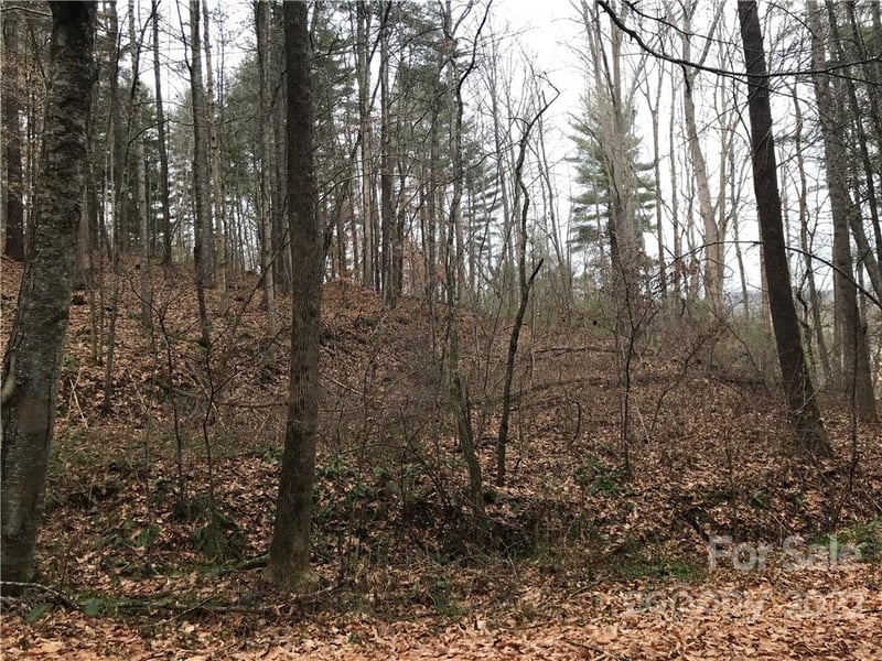 27 Eller Hollow Rd, Weaverville, NC 28787