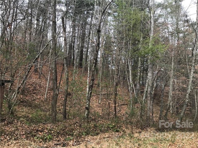 27 Eller Hollow Rd, Weaverville, NC 28787