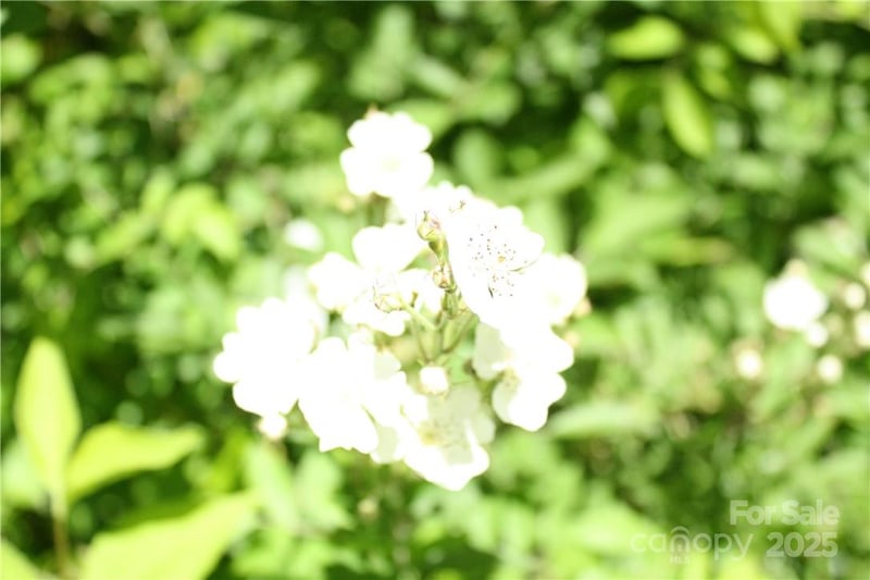 TBD Greenyard Trl #2, Candler, NC 28715