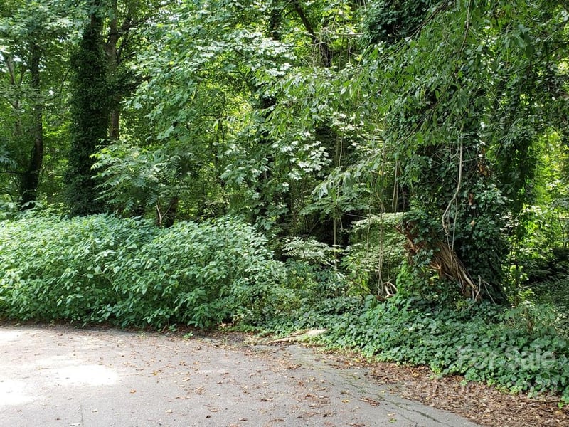 548 Caribou Rd, Asheville, NC 28803