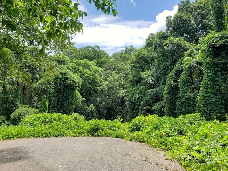 548 Caribou Rd, Asheville, NC 28803