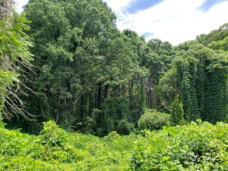 548 Caribou Rd, Asheville, NC 28803