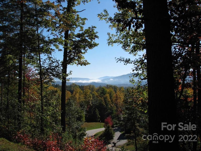 TBD Pine Mountain Trl, Brevard, NC 28712