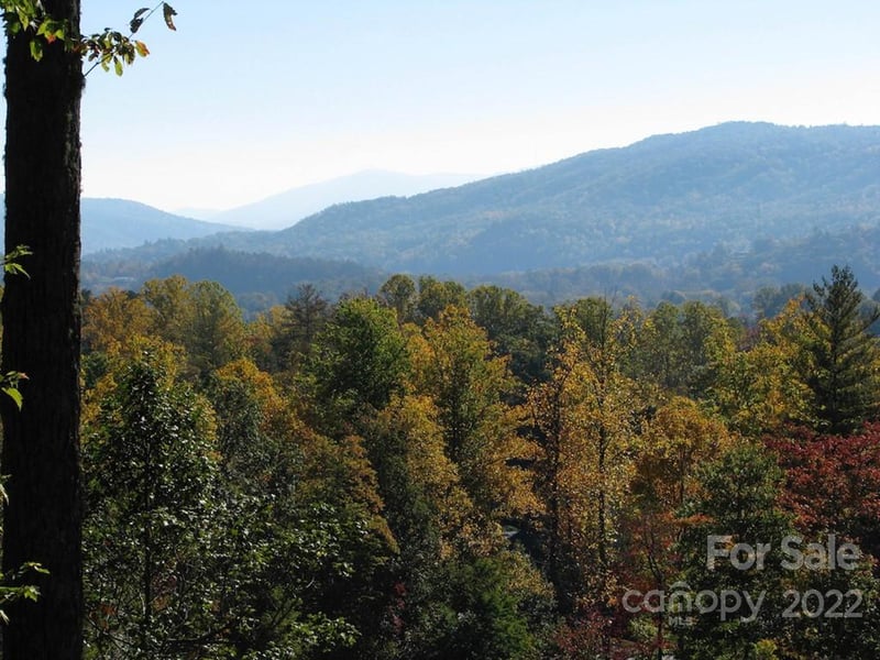 TBD Pine Mountain Trl, Brevard, NC 28712