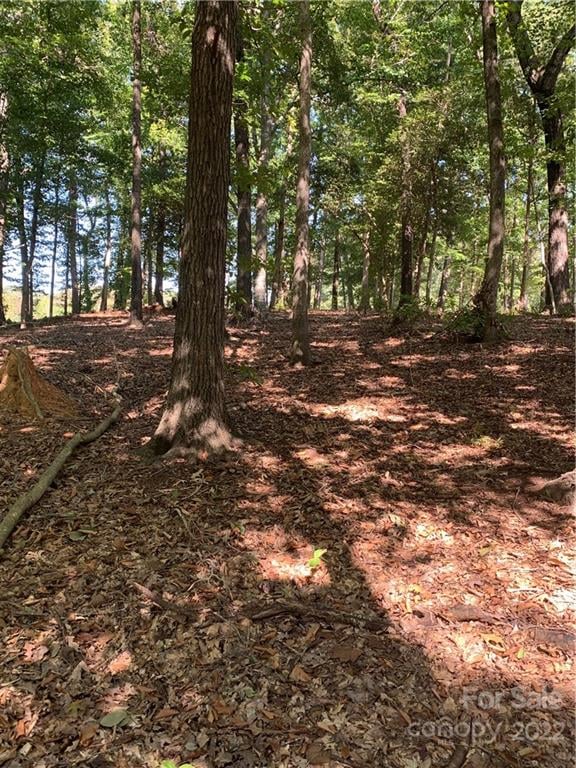 Lot 9R Eagle Pointe Dr, Norwood, NC 28128