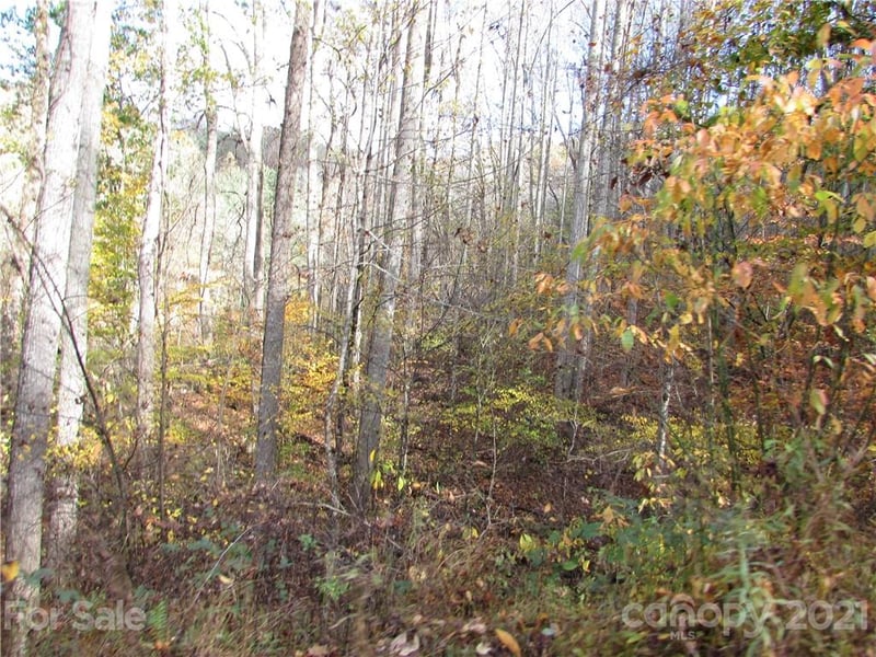 E- 3 Red Wolf Run None, Mars Hill, NC 28754
