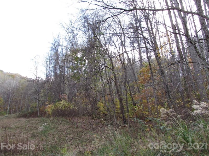 E- 3 Red Wolf Run None, Mars Hill, NC 28754