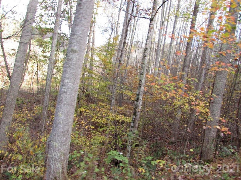 E- 3 Red Wolf Run None, Mars Hill, NC 28754