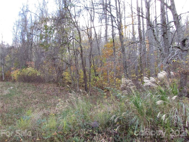 E- 3 Red Wolf Run None, Mars Hill, NC 28754