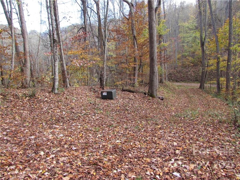 00 Red Wolf Run None #39, Mars Hill, NC 28754