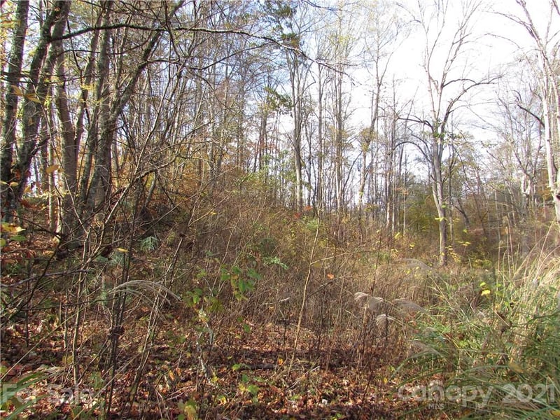 00 Red Wolf Run None #39, Mars Hill, NC 28754