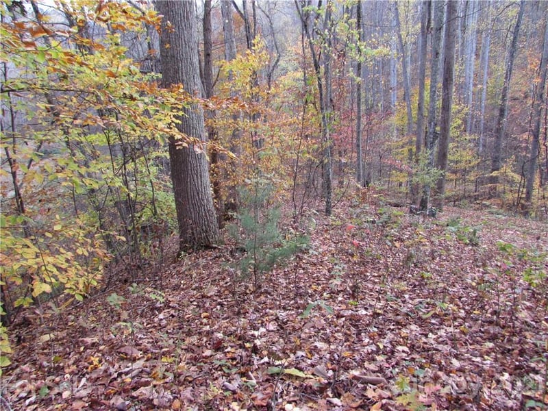00 Red Wolf Run None #39, Mars Hill, NC 28754