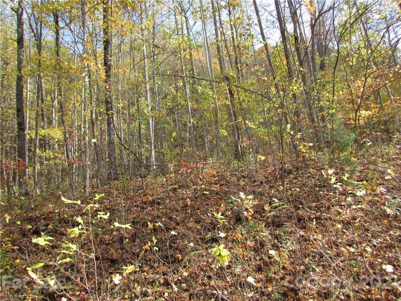 E- 6 Red Wolf Run None, Mars Hill, NC 28754