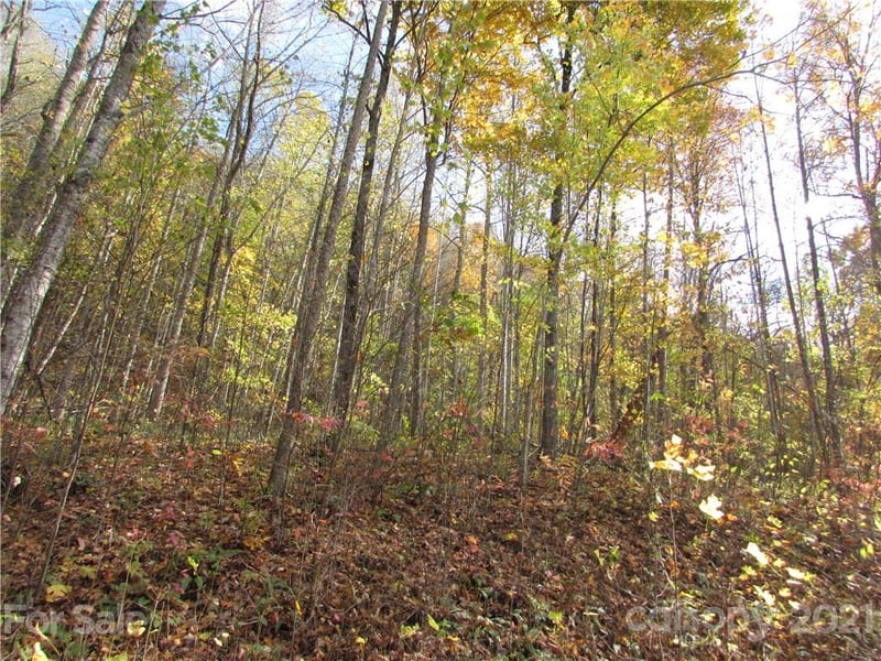E- 6 Red Wolf Run None, Mars Hill, NC 28754