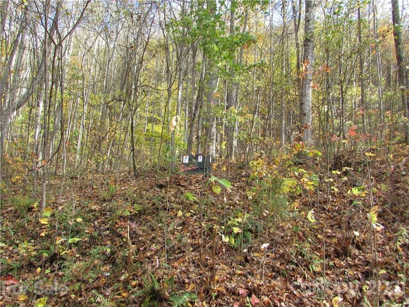 E- 6 Red Wolf Run None, Mars Hill, NC 28754
