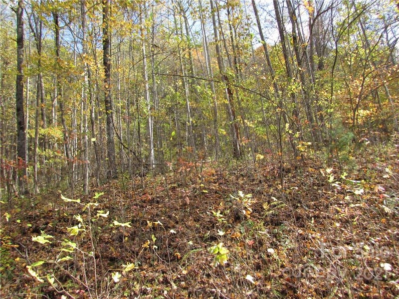 E- 8 Red Wolf Run None, Mars Hill, NC 28754