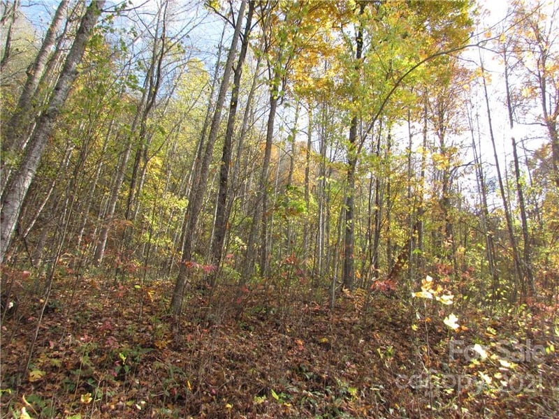 E- 8 Red Wolf Run None, Mars Hill, NC 28754