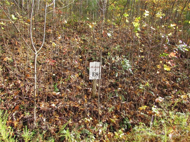 E- 8 Red Wolf Run None, Mars Hill, NC 28754