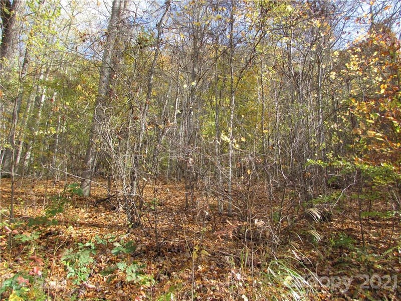 E- 13 Red Wolf Run None, Mars Hill, NC 28754