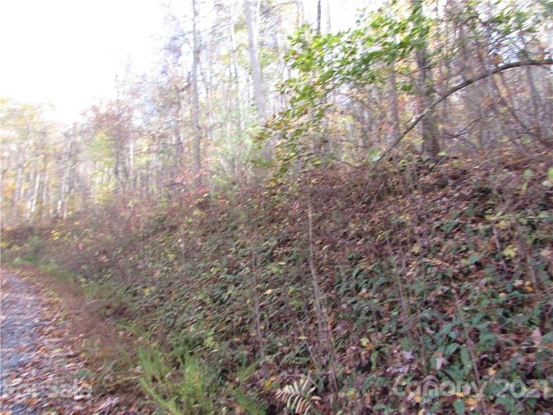 E- 13 Red Wolf Run None, Mars Hill, NC 28754