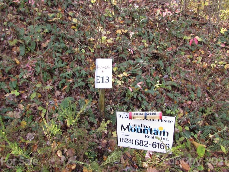 E- 13 Red Wolf Run None, Mars Hill, NC 28754