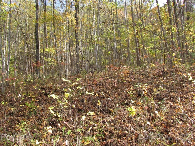E- 13 Red Wolf Run None, Mars Hill, NC 28754