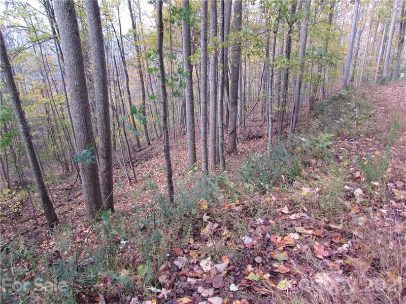 E- 15 Red Wolf Run None, Mars Hill, NC 28754