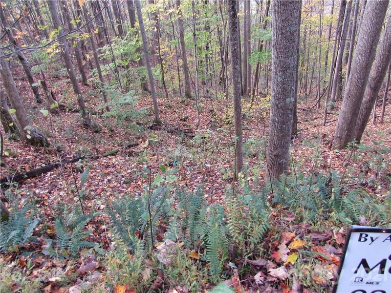 E- 15 Red Wolf Run None, Mars Hill, NC 28754