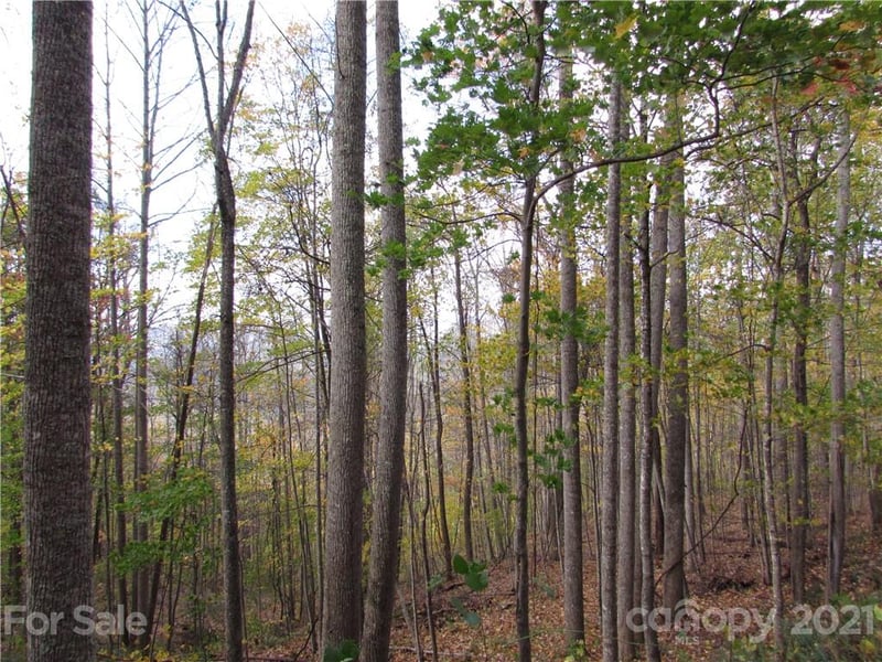 E- 15 Red Wolf Run None, Mars Hill, NC 28754