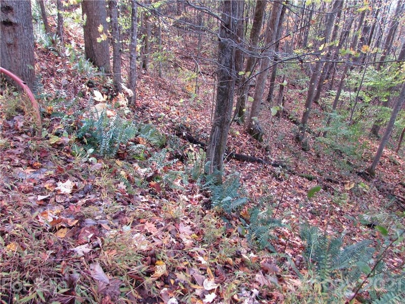 E- 15 Red Wolf Run None, Mars Hill, NC 28754